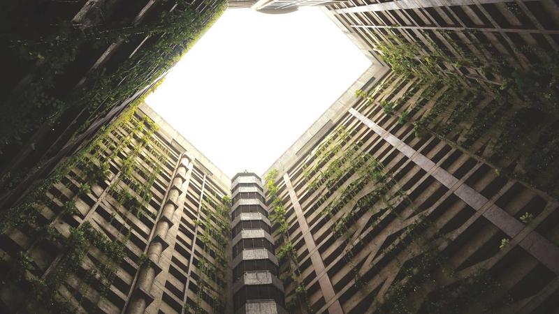 夏季养肝黄金食谱：5道清凉菜谱助你清火护肝