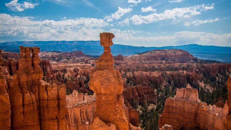 阴虚体质必看！5类食物加速“耗阴”，这样吃养出水润体质