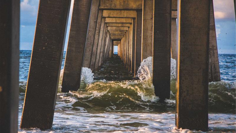 银耳：平民燕窝的养生密码——从古籍记载到现代科学验证