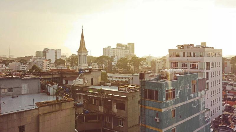 百合：药食同源的润肺圣品，解锁四季养生新方式