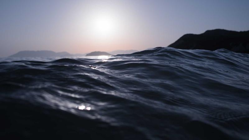 贫血康复期必看！中医食疗助你快速补铁养血