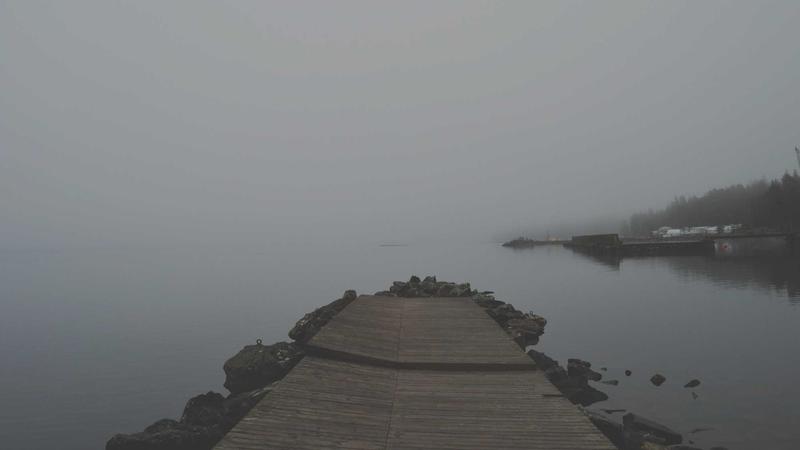 冬日润养秘籍：银耳的5种黄金搭配，吃出好气色！