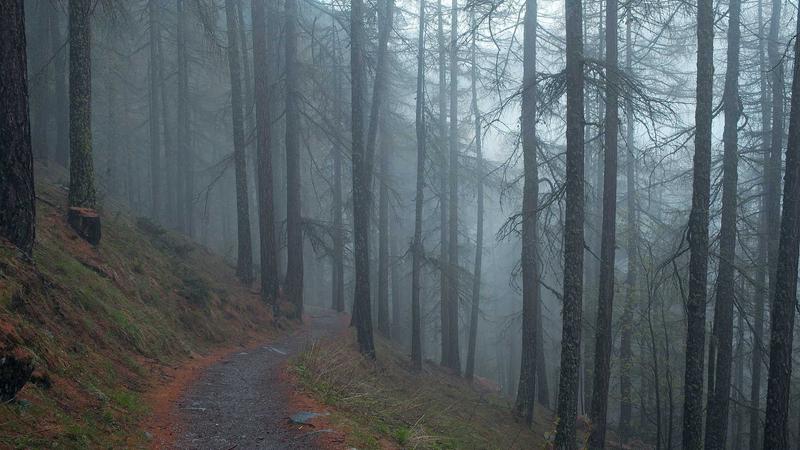 小满时节：顺应天时的饮食调理养生指南