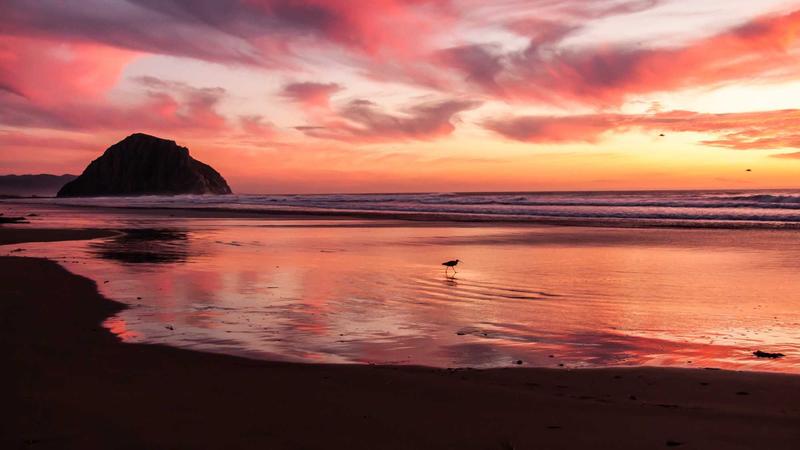 千年古方焕新颜：八珍汤——气血双补的食疗瑰宝