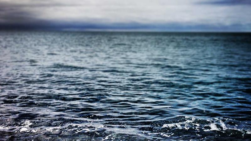 春日养血秘籍：当归补血汤，唤醒身体生机