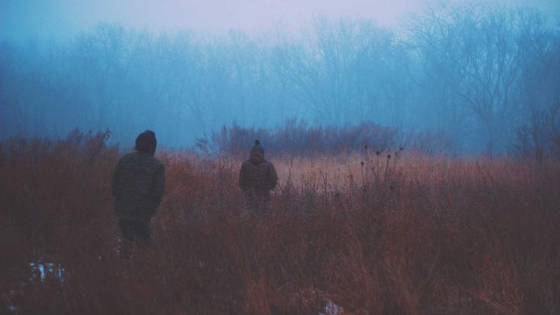 五色食疗法揭秘：绿色食物如何成为心脏的天然守护者？