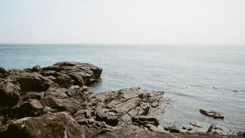 气血双补食疗秘籍：吃出红润好气色