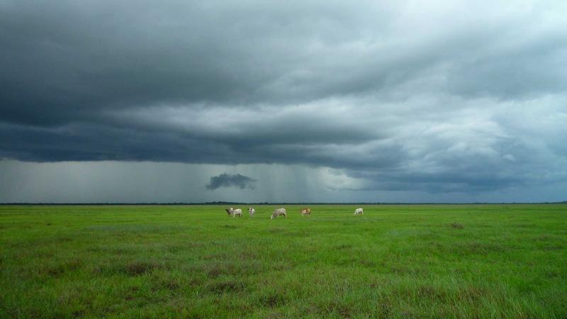 千年安神圣品：莲子食疗方助你告别失眠困扰