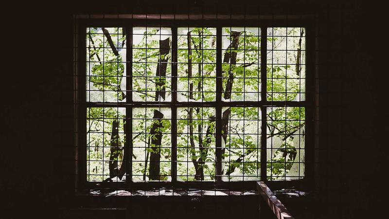 贫血必看！中医食疗养血全攻略：从原理到食谱，吃出红润好气色