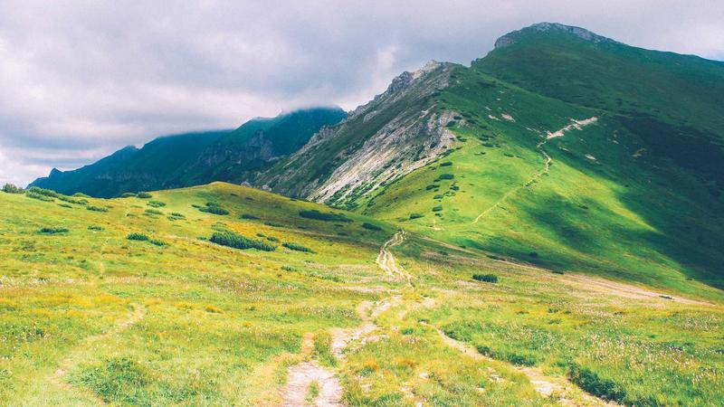 桂圆：药食同源的滋补瑰宝，解锁养生新境界