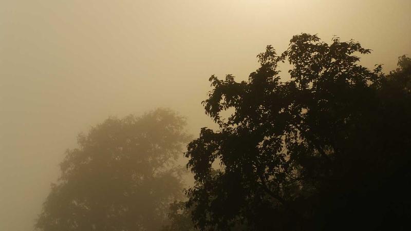 春日防感冒：中医食疗的5大黄金方案，增强免疫力不用药！