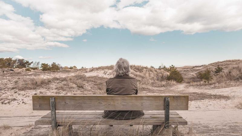 红枣的黄金搭档：解锁5种食材搭配，吃出气血双补好体质