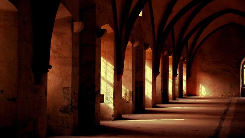 春日养肝正当时：解锁枸杞的5种黄金搭配，吃出好气色！