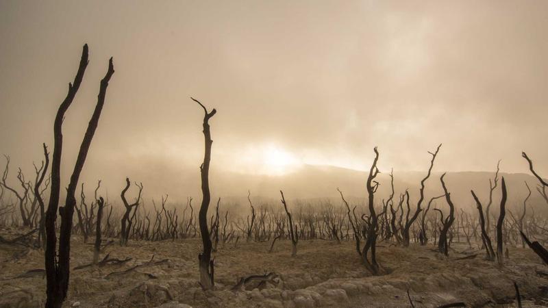 感冒康复期必看！5大食疗方案助你元气速回