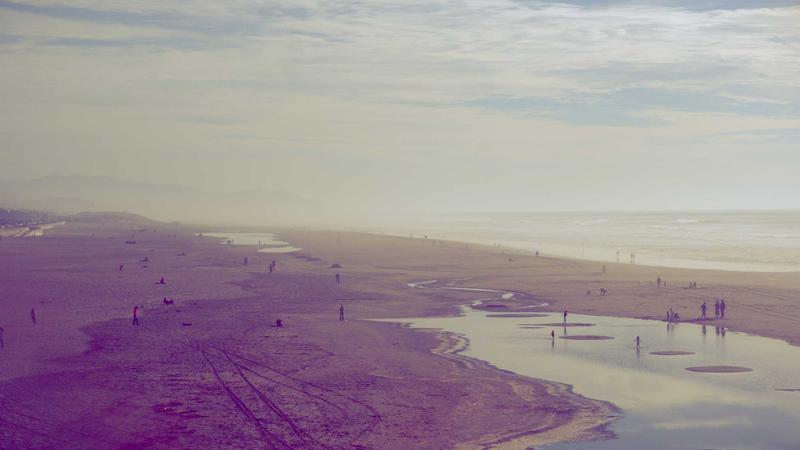 桂圆食疗秘籍：阴虚体质的天然调理方案