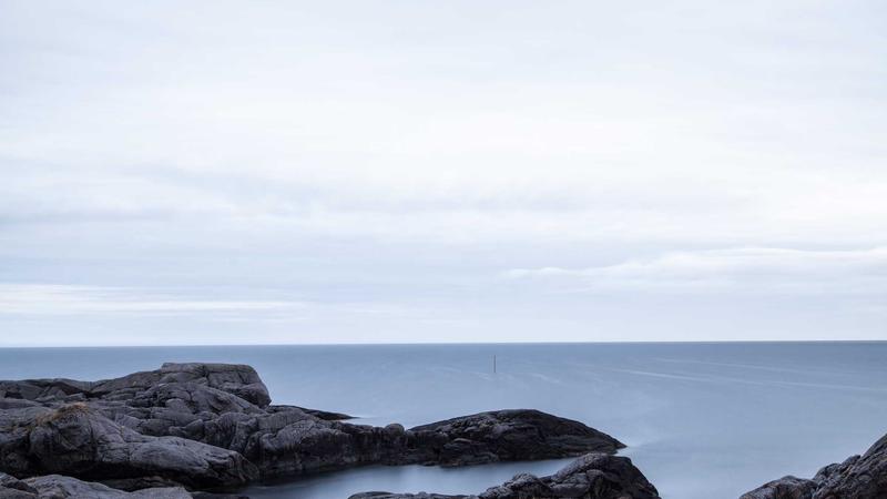 山药养生全攻略：从选购到保存的中医智慧