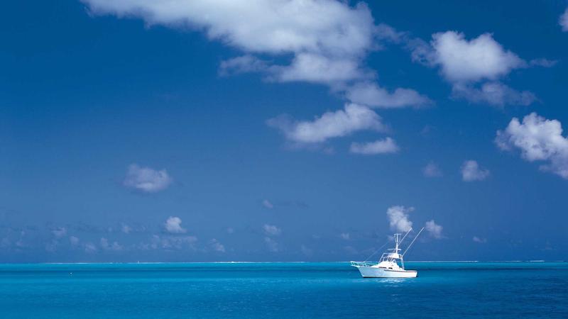 银耳润胃秘籍：中医食疗巧治胃病，养出健康好胃！