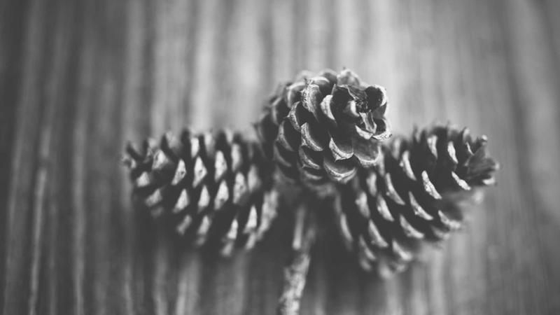 痰湿体质必看！5大食疗方+8种祛湿食材，助你轻松甩掉黏腻感