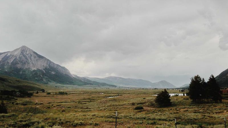 绿色入脾养元气：五色食疗法中绿色食物的健脾奥秘