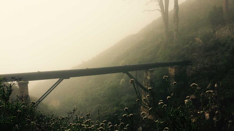 平和体质者的饮食密码：避开这些禁忌，吃出健康平衡态