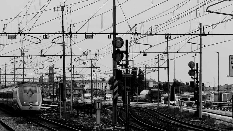 枸杞养生全攻略：功效、搭配与禁忌，吃对才有效！