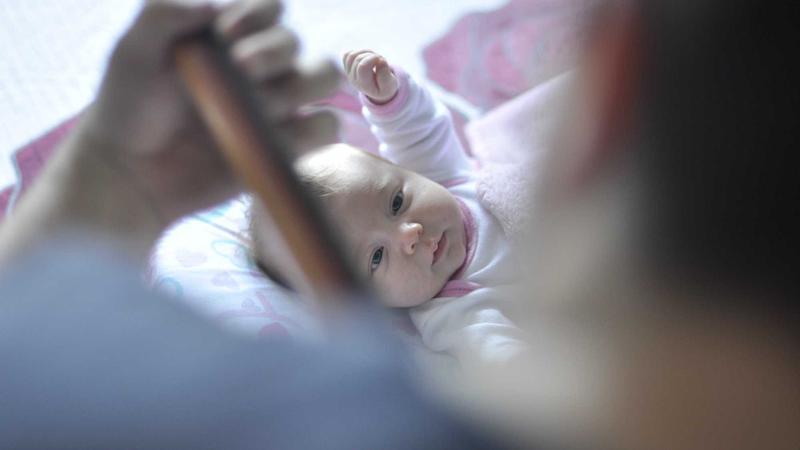 当归养生全攻略：5种吃法让气血双补更高效