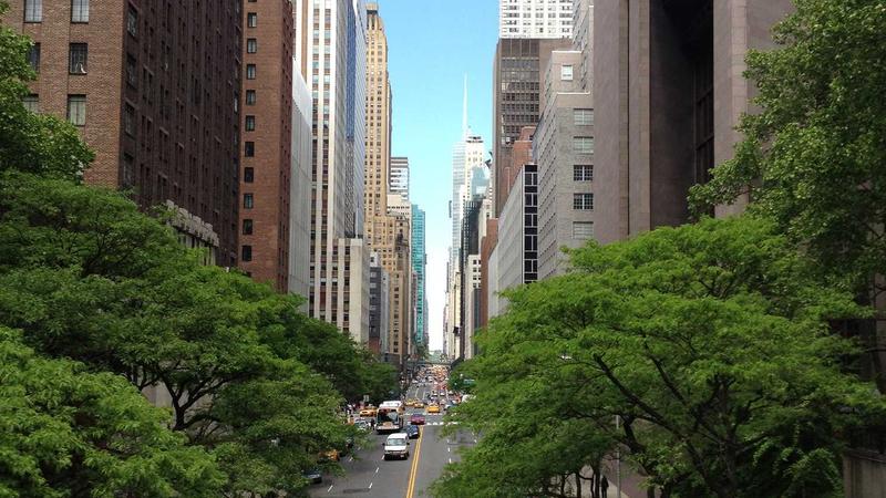 感冒食疗全攻略：5类体质对症食谱，快速缓解症状！