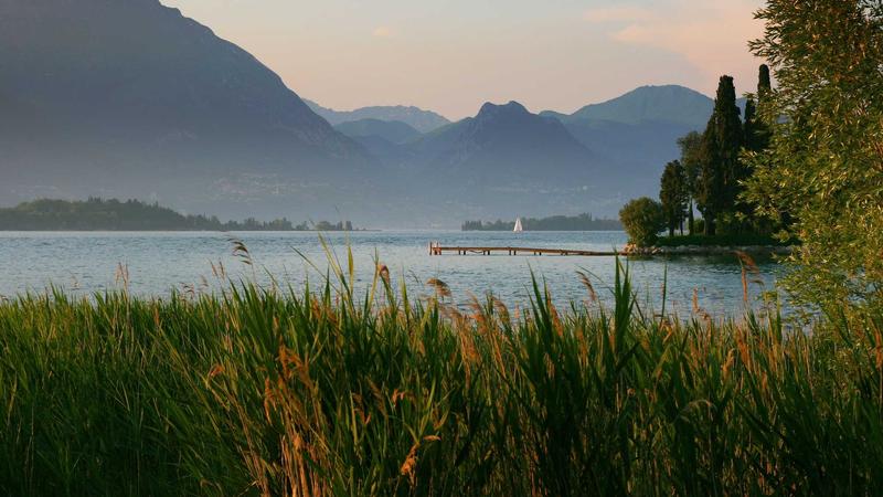 冬季进补黄金搭档：黄芪煲汤的5大养生功效与实用方案