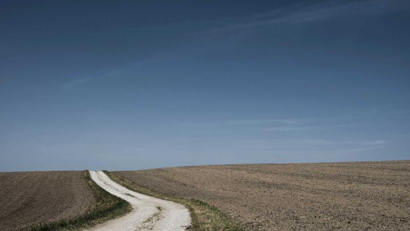 痰湿体质必看！5款食疗方助你轻松祛湿化痰