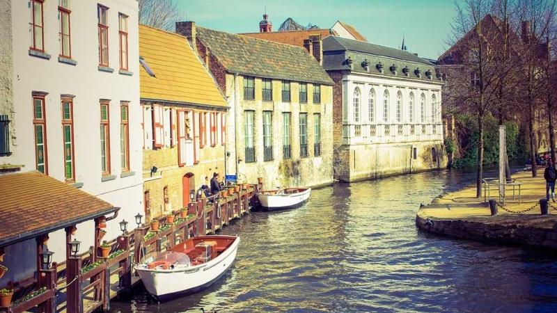 黄芪选购与保存全攻略：从田间到餐桌的养生智慧