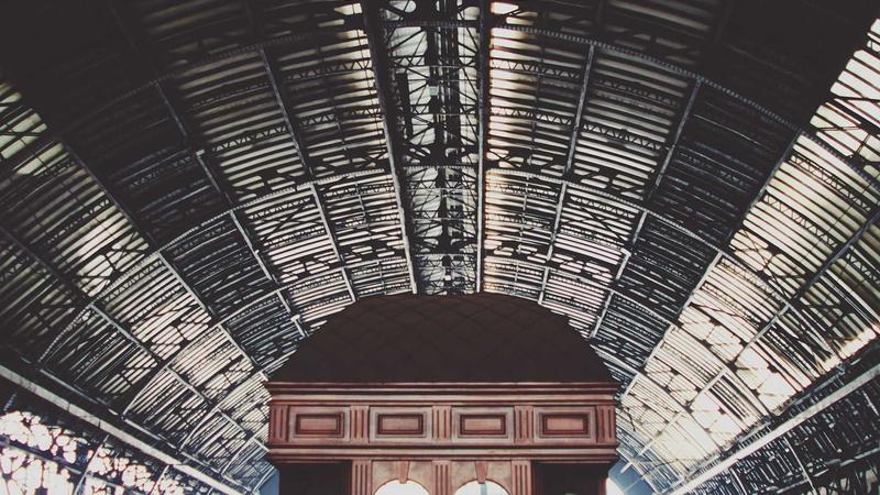 五色食疗法新解：绿色食物养肺的科学密码与养生实践