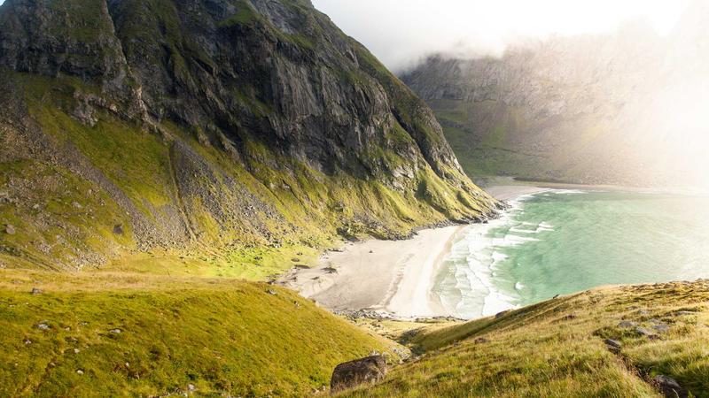 黄色食物养肾新发现：五色食疗中的科学密码