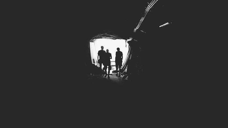 冬藏之道：莲子养生全攻略，解锁冬季滋补新密码