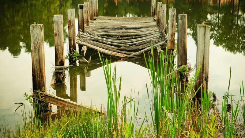 红枣：千年养生圣果的现代科学解码与食疗全攻略