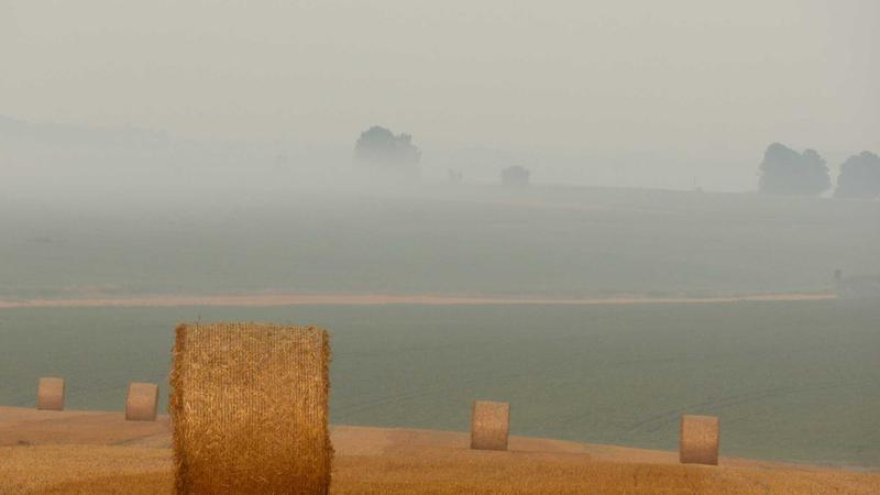 红枣：药食同源的天然滋补圣品，解锁养生新姿势