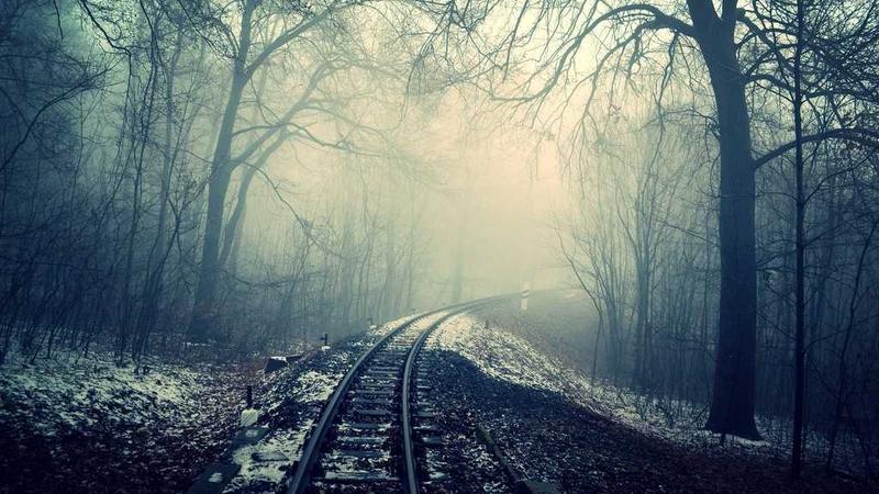 八珍汤现代改良版：气血双补的养生新选择