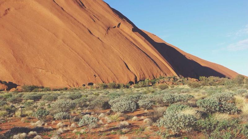 蜂蜜：千年养生瑰宝的食疗密码与科学应用