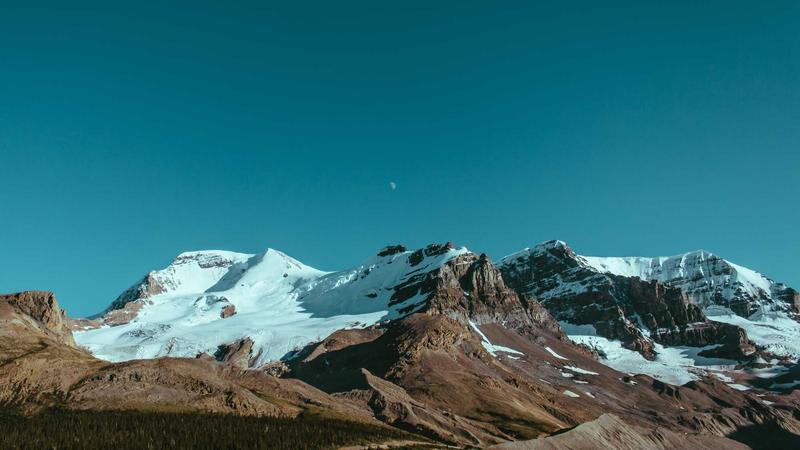 千年养生瑰宝：莲子——从古籍记载到现代科学的全面解析