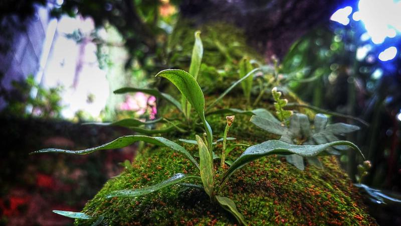 高血脂不用慌！中医食疗科学调理指南，吃出健康好血脂