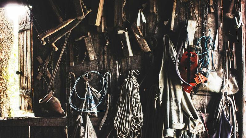 枸杞养阴秘籍：阴虚体质的5道食疗方，轻松调出好体质