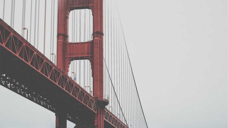 枸杞：千年养生圣品，解锁其营养密码与食疗秘籍