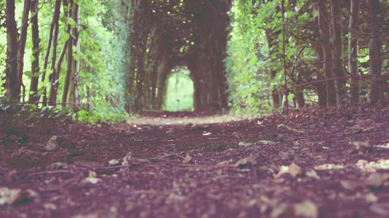 冬季养肝黄金期：5道暖身养肝食谱，助你肝气顺畅过寒冬