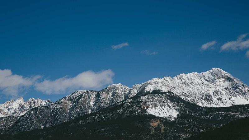 灵芝养生新吃法大公开！6种科学搭配让你吃出健康好气色