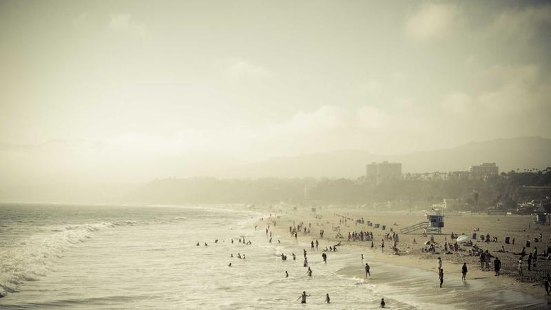 百合润肺止咳：中医食疗的天然良方