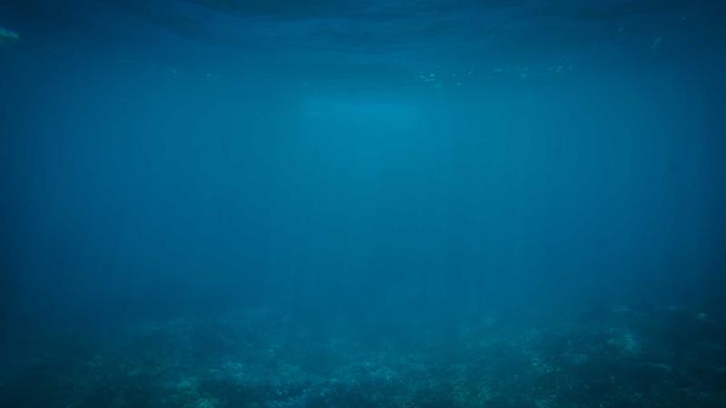 秋燥易伤身？黑芝麻煲汤润燥养肺，解锁秋季进补新方案